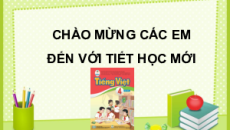 Giáo án Powerpoint Bài 7: Họ hàng, làng xóm Tiếng việt lớp 4 Cánh diều