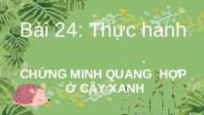 Giáo án Powerpoint Thực hành chứng minh quang hợp ở cây xanh Sinh học - KHTN 7 Chân trời sáng tạo