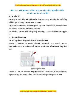Lý thuyết Khoa học tự nhiên 7 Chân trời sáng tạo Bài 31: Thực hành chứng minh thân vận chuyển nước và lá thoát hơi nước
