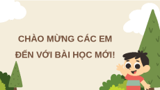 Giáo án Powerpoint Luyện từ và câu: Luyện tập sử dụng từ ngữ Tiếng việt lớp 4 Chân trời sáng tạo (Pb2)