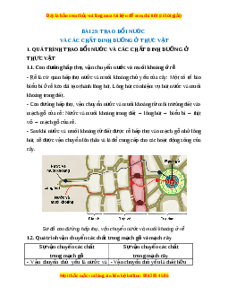 Lý thuyết Khoa học tự nhiên 7 Chân trời sáng tạo Bài 29: Trao đổi nước và các chất dinh dưỡng ở thực vật