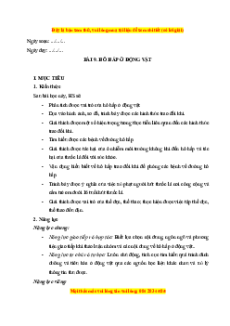 Giáo án Hô hấp ở động vật Sinh học 11 Chân trời sáng tạo