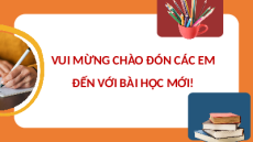 Giáo án Powerpoint Ôn tập chương 6 Sinh học 10 Chân trời sáng tạo