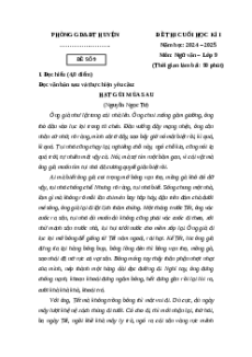 Đề thi Cuối kì 1 Ngữ văn 9 Cánh diều 2024 (Đề 9)