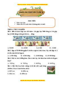 Bài tập cuối tuần Toán lớp 3 Tuần 26 Cánh diều (có lời giải)