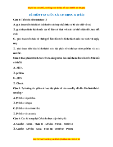 Đề thi giữa kì 2 Sinh học 12 (Đề 3)