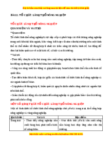 Lý thuyết Bài 22 Địa lí 10 Cánh diều: Tổ chức lãnh thổ nông nghiệp