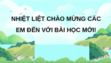 Giáo án Powerpoint Bài 17: Ôn tập chủ đề thực vật và dộng vật Khoa học lớp 5 Kết nối tri thức