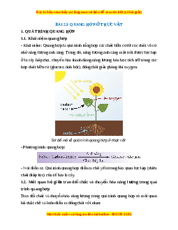 Lý thuyết Khoa học tự nhiên 7 Chân trời sáng tạo Bài 23: Quang hợp ở thực vật