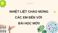 Giáo án Powerpoint Bài 13 Khoa học lớp 5 Cánh diều: Vi khuẩn có ích trong chế biến thực phẩm