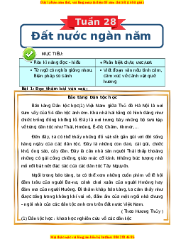 Bài tập cuối tuần Tiếng việt lớp 3 Tuần 28 Kết nối tri thức (có lời giải)