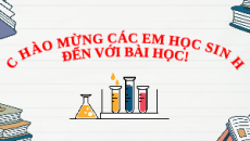 Giáo án Powerpoint Giới thiệu về carbohydrate. Glucose và fructose Hóa học 12 Kết nối tri thức