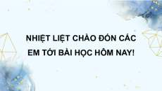 Giáo án Powerpoint Bài 20 Sinh học 11 Chân trời sáng tạo: Sinh trưởng và phát triển ở thực vật