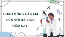 Giáo án Powerpoint Một số ngành liên quan đến sinh học cơ thể Sinh học 11 Cánh diều