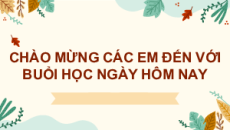 Giáo án Powerpoint Bài 3: Cây dừa Tiếng Việt lớp 2 Chân trời sáng tạo