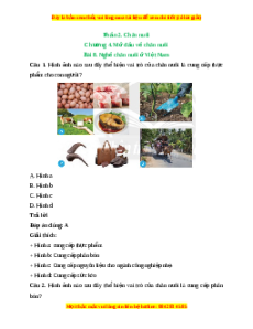 Trắc nghiệm Công nghệ 7 Bài 8 Chân trời sáng tạo: Nghề chăn nuôi ở Việt Nam