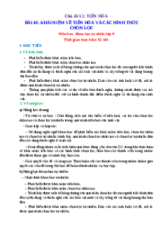 Giáo án Bài 46 KHTN 9 Chân trời sáng tạo (2024): Khái niệm về tiến hoá và các hình thức chọn lọc
