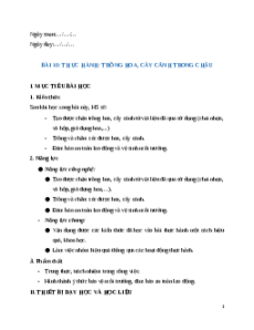 Giáo án chuyên đề Bài 10: Thực hành Trồng hoa, cây cảnh trong chậu Công nghệ trồng trọt 10 Kết nối tri thức