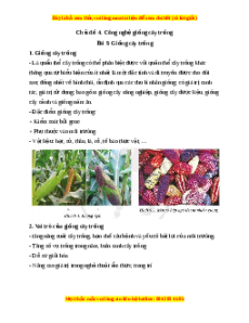 Lý thuyết Công nghệ 10 Trồng trọt Cánh diều Bài 9: Giống cây trồng