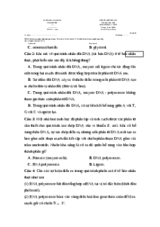 Đề thi giữa kì 1 Sinh học 12 Kết nối tri thức 2024 (Đề 3)