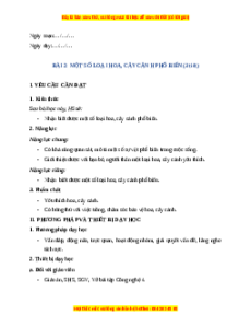 Giáo án Bài 2 Công nghệ lớp 4 Kết nối tri thức: Một số loại hoa, cây cảnh phổ biến