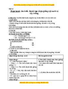Giáo án Thực hành: Tìm hiểu thành tựu chọn giống vật nuôi và cây trồng Sinh học 9