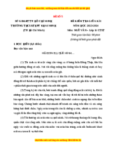 Đề thi giữa kì 1 Sở GD & ĐT Hồ Chí Minh Ngữ văn 11 Chân trời sáng tạo (đề 15)