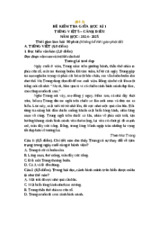 Đề thi giữa kì 1 Tiếng Việt lớp 5 Cánh diều (Đề 3)
