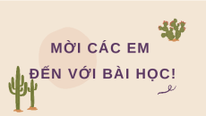 Giáo án Powerpoint Đọc: Quà tặng của chim non Tiếng việt lớp 4 Chân trời sáng tạo (Pb2)