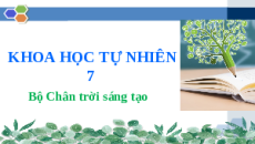Giáo án Powerpoint Cảm ứng ở sinh vật Sinh học - KHTN 7 Chân trời sáng tạo