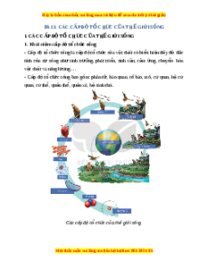 Lý thuyết Sinh học 10 Kết nối tri thức Bài 3: Các cấp độ tổ chức của thế giới sống