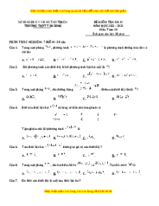 Đề thi giữa kì 2 Toán 10 trường THPT Tân Bình - TP Hồ Chí Minh năm 2022-2023