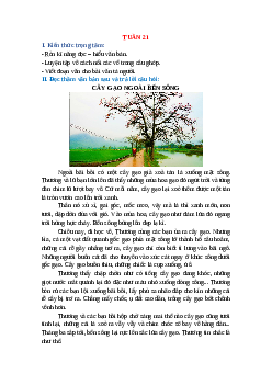 Bài tập cuối tuần Tiếng Việt lớp 5 Chân trời sáng tạo Tuần 21