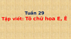 Giáo án Powerpoint Tập viết: Tô chữ hoa E, Ê Tiếng việt lớp 1 Cánh diều