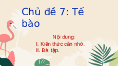 Giáo án Powerpoint Bài tập Chủ đề 7 trang 83 KHTN 6 Cánh diều