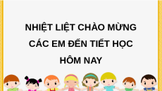 Giáo án Powerpoint Em làm được những gì? (trang 21, 22, 23) Toán lớp 2 Chân trời sáng tạo (phiên bản 2)