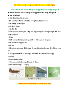 Lý thuyết Bài 16: Một số hại cây trồng thường gặp và biện pháp phòng trừ