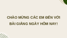 Giáo án Powerpoint Bài 5: Tổ chức, hoạt động của doanh nghiệp nhỏ Chuyên đề Kinh tế pháp luật 10 Kết nối tri thức