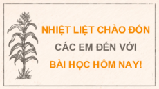 Giáo án Powerpoint Bài Thực hành Chủ đề 2