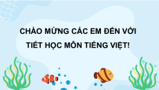 Giáo án Powerpoint Đọc: Bài tập làm văn trang 28, 29, 30 Tiếng việt lớp 3 Cánh diều