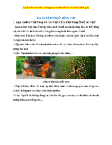 Lý thuyết Khoa học tự nhiên 7 Chân trời sáng tạo Bài 33: Tập tính ở động vật