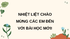 Giáo án Powerpoint Bài 30: Ôn tập chủ đề sinh vật và môi trường Khoa học lớp 5 Kết nối tri thức
