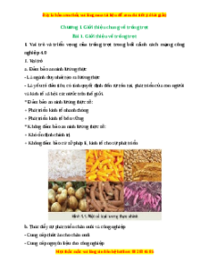 Lý thuyết Bài 1: Giới thiệu về trồng trọt