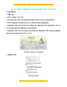 Lý thuyết Sinh học 10 Chân trời sáng tạo Bài 23: Thực hành: Một số phương pháp nghiên cứu vi sinh vật