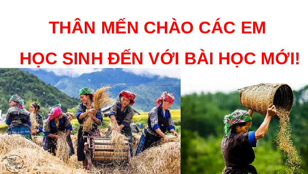 Giáo án Powerpoint Bài 5 Lịch sử & Địa lí lớp 4 Kết nối tri thức: Dân cư và hoạt động sản xuất ở vùng Trung du và miền núi Bắc Bộ