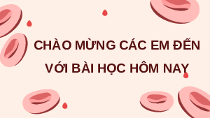 Giáo án Powerpoint Thực hành về máu về hệ tuần hoàn Sinh học - KHTN 8 Cánh diều