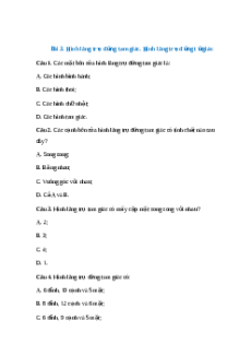 Trắc nghiệm Hình lăng trụ đứng tam giác - Hình lăng trụ đứng tứ giác Toán 7 Chân trời sáng tạo