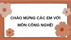 Giáo án Powerpoint Bài 23: Giới thiệu về trồng trọt công nghệ cao lớp 10 Kết nối tri thức