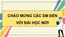 Giáo án Powerpoint Bài 20: Môi trường sống và các nhân tố sinh thái Sinh học 12 Cánh diều