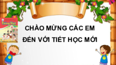 Giáo án Powerpoint Bài 8: Người ta là hoa đất Tiếng việt lớp 4 Cánh diều